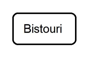 Bistouri