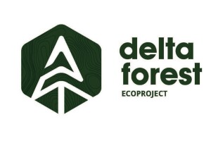Delta-Forest